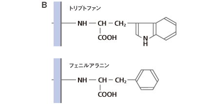 吸着リガンド化学式