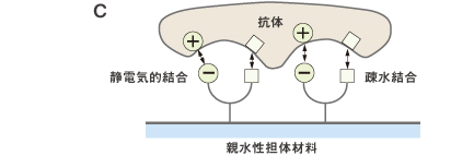 結合図