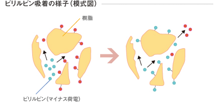 ビリルビン吸着の様子図